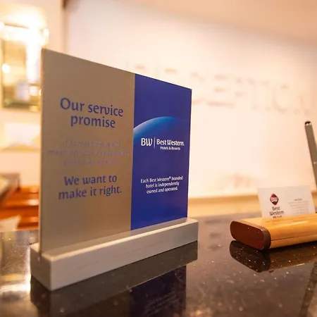 Lido فندق تيميشورا