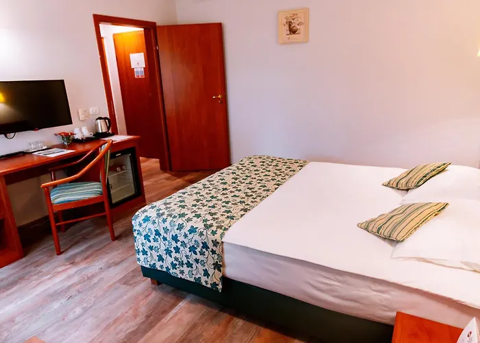 Lido 蒂米什瓦拉