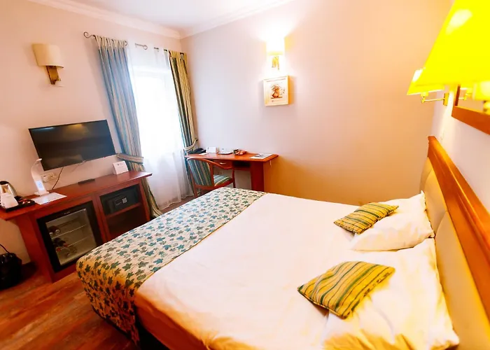 Lido 蒂米什瓦拉