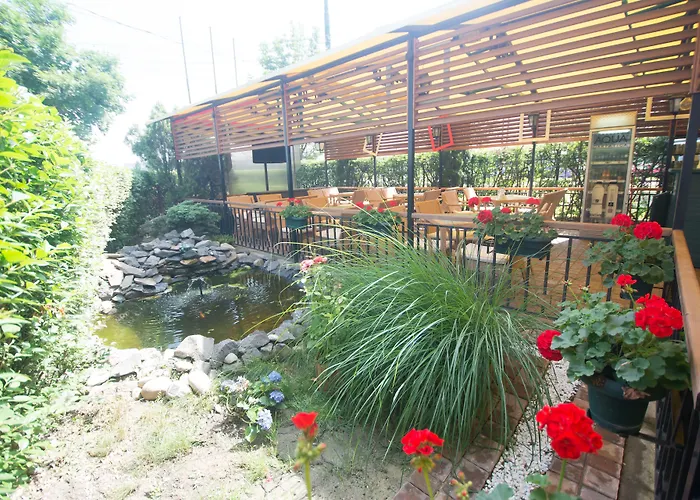 Lido 蒂米什瓦拉